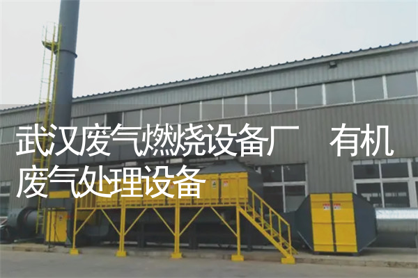武汉废气燃烧设备厂 有机废气处理设备